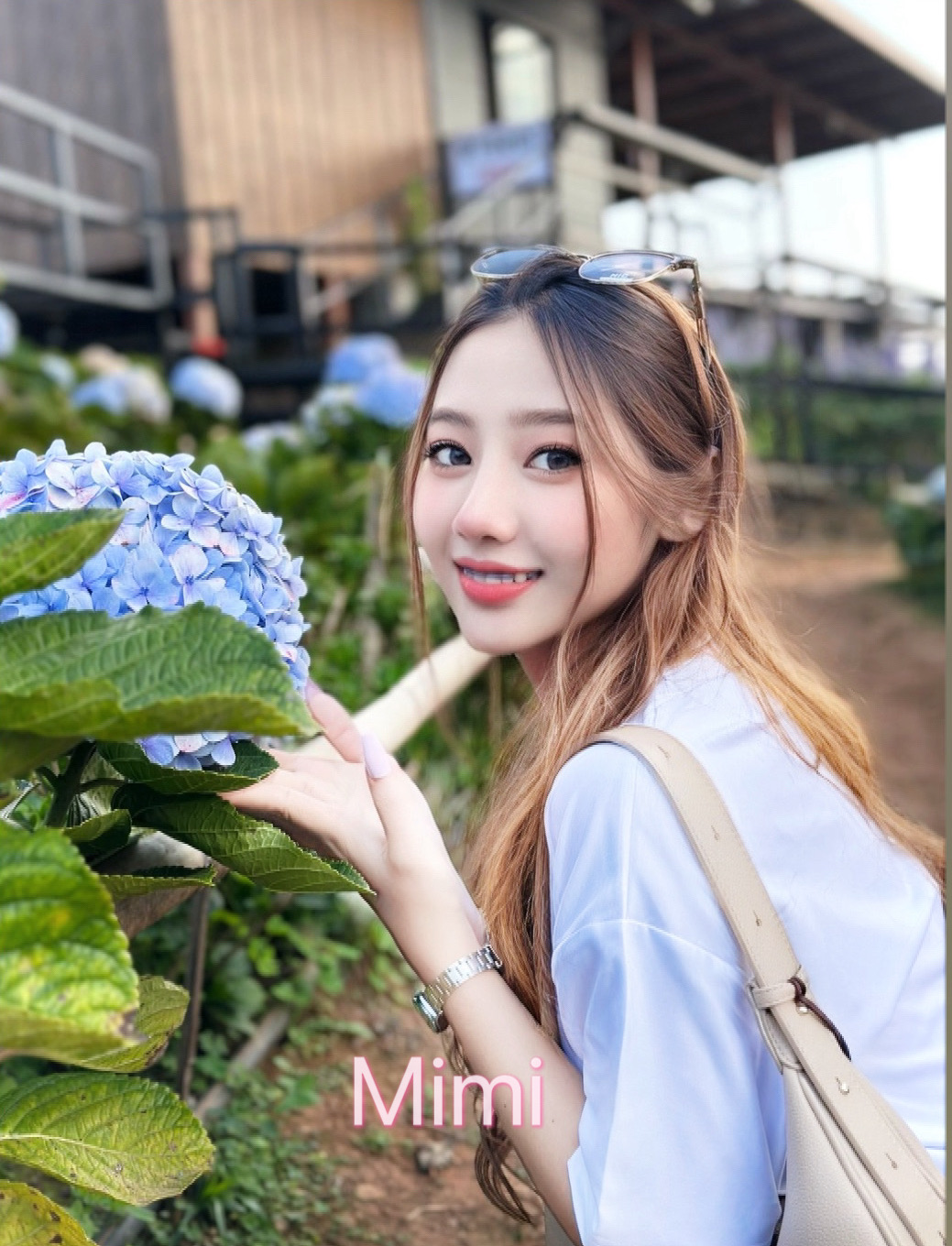 FAN4YOU - Content