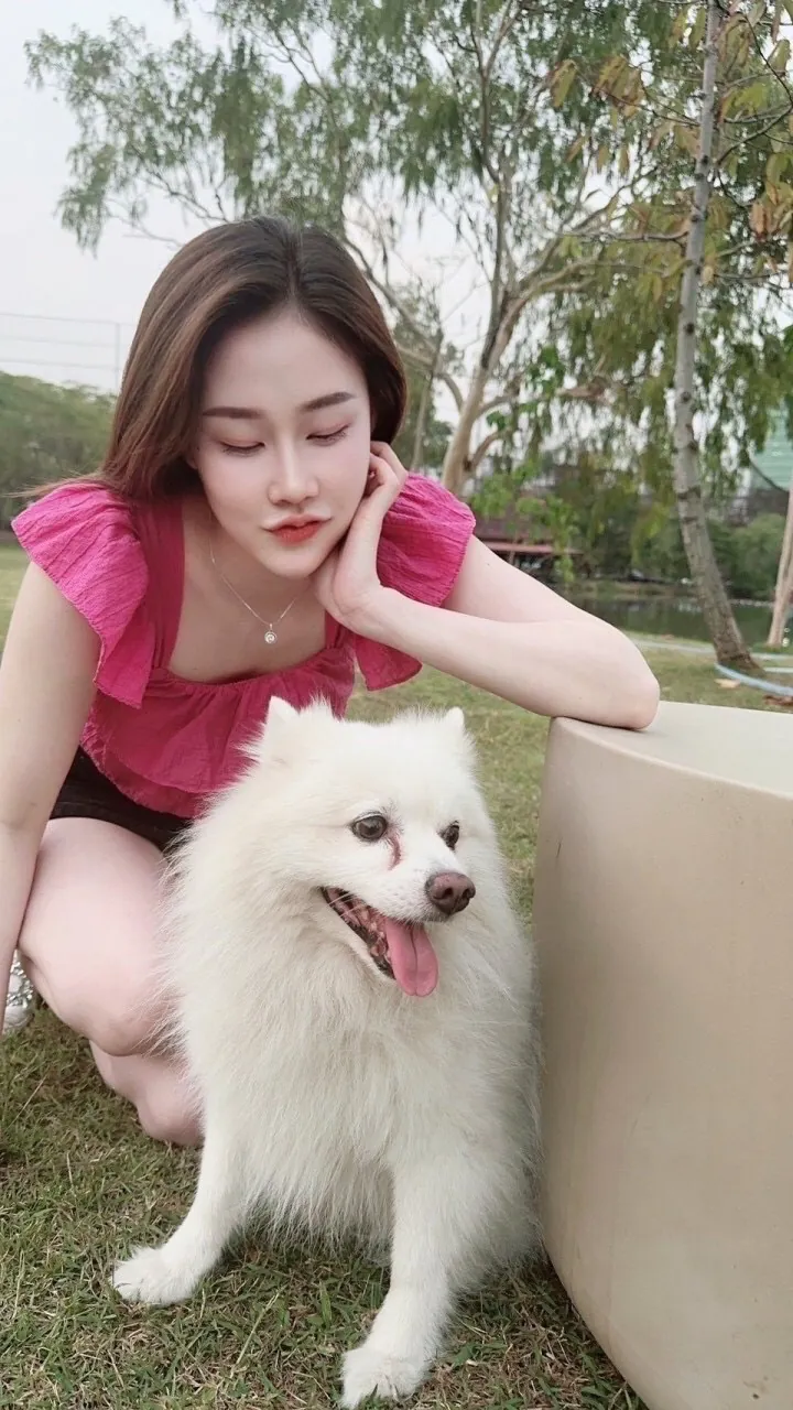 Cha khet-huai-khwang