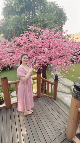 Hmphueng Nwdisra profile photo in Bang Na
